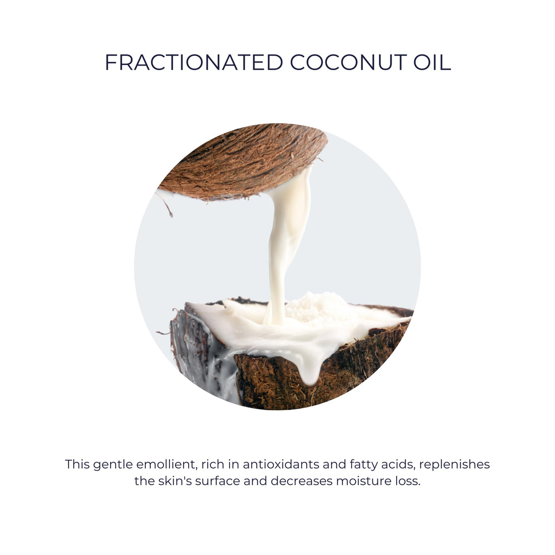 Alana Mitchell Organic MCT Face Oil – Natural Coconut Oil for Skin to Hydrate & Help Prevent Wrinkles & Fine Lines – Face Moisturizer for Women & Men – Organic MCT Oil for Face, Body & Lips (2 oz)