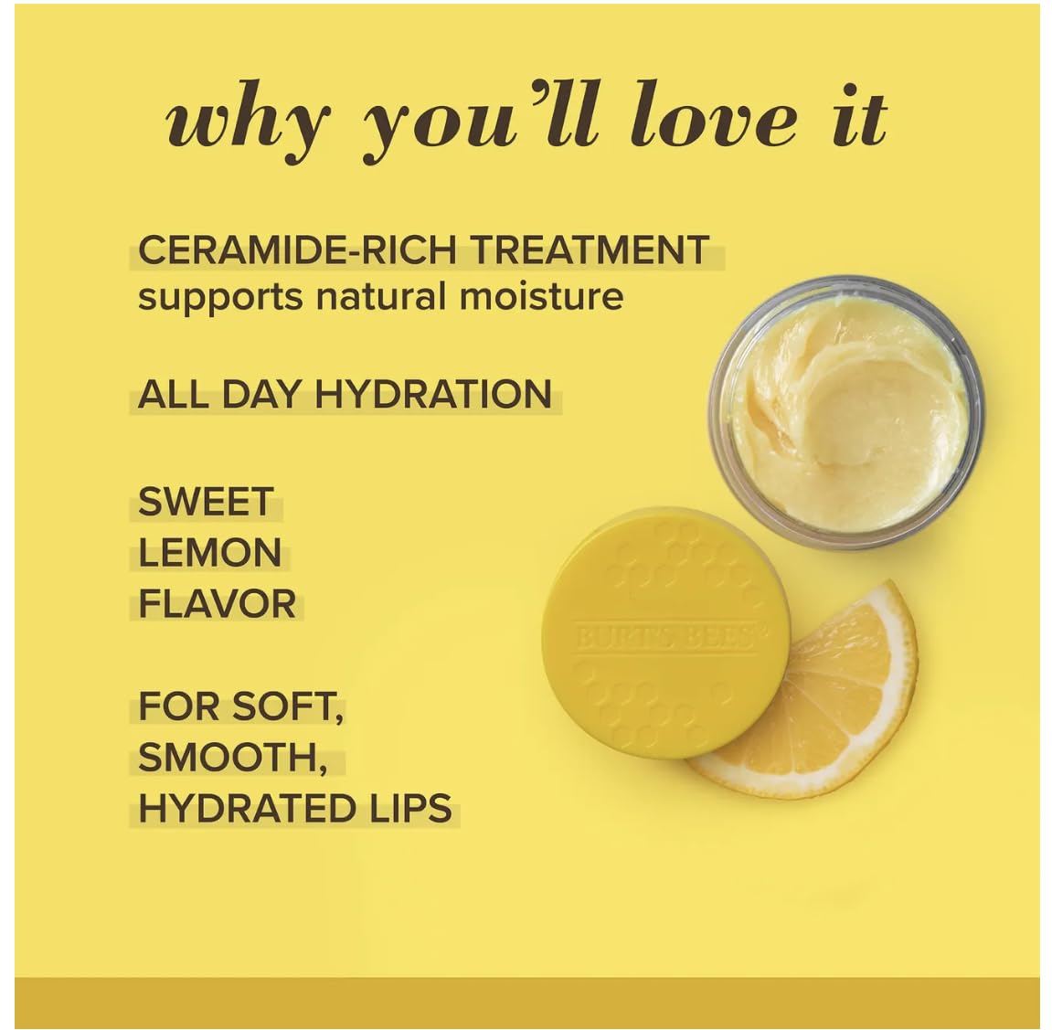 Burt's Bees 100% Natural Origin Lip Treatment with Sea Minerals Sweet Mint (Lemon Sorbet) - Hydrating, Moisturizing, Nourishing, Uplifting Lip Balm
