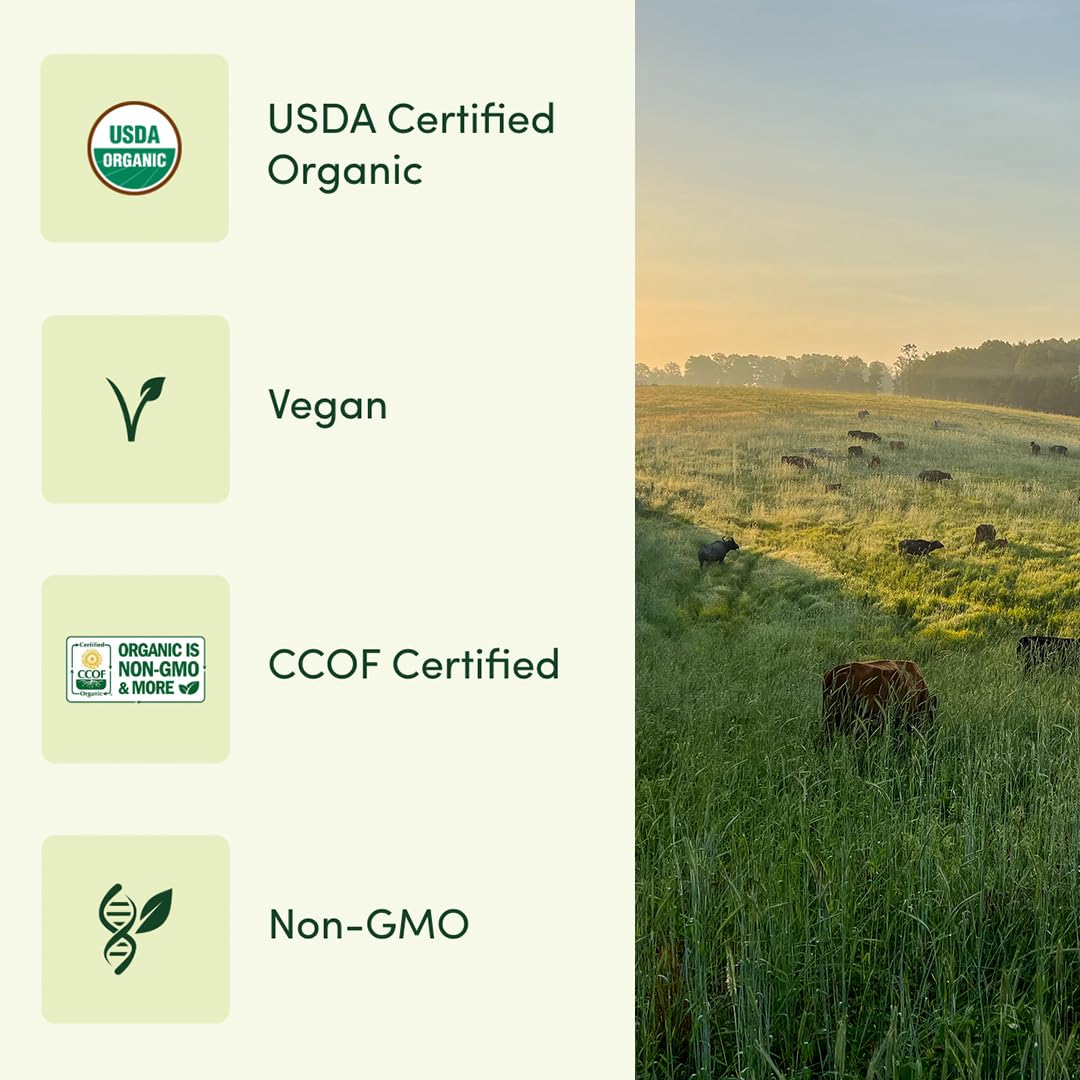 EarthFirst Organic Women’s Multi Once Daily, Women's Multivitamin, Iron, Vitamin B12 & More, 19 Vitamins from Herbs & Superfoods, 30 Count