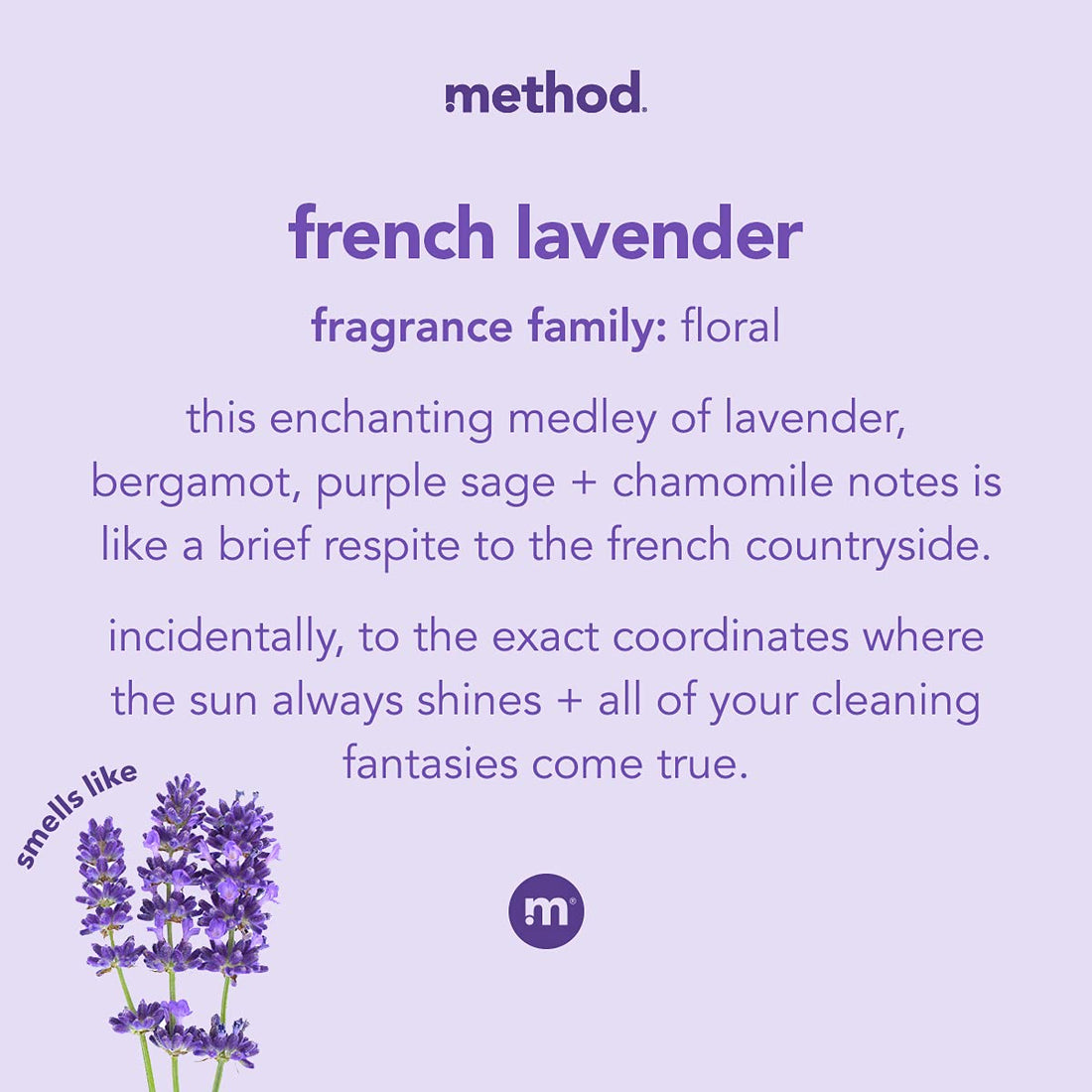 Method Gel Hand Soap Refill, French Lavender, Biodegradable Formula, 34 fl oz (Pack of 6)