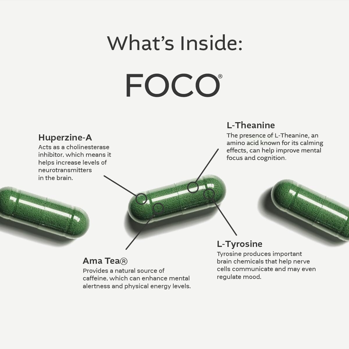 Think FOCO - Focus Supplement for Teens & Adults (13+) - Natural Focus in 30 Minutes - Brain Supplements for Memory and Attention - Vegan Vitamin, Gluten Free, Non GMO Vitamins