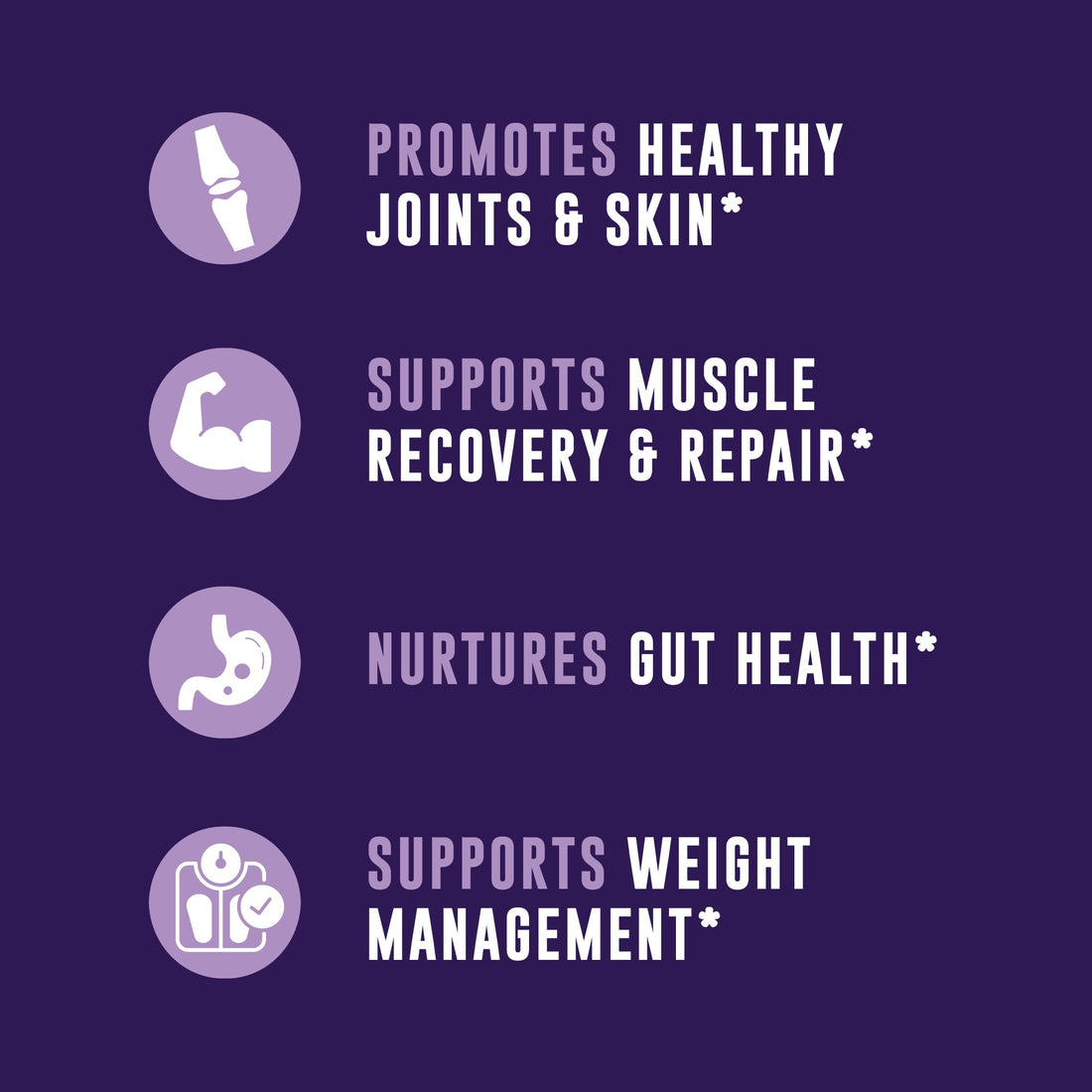 16oz Bone Broth Powder with Grass Fed Collagen Peptides - Unflavoured, Zero Carb, Dairy Free, No Additives, No Fillers - Natural Source Type I and III - Grass Fed Bone Broth Collagen Powder