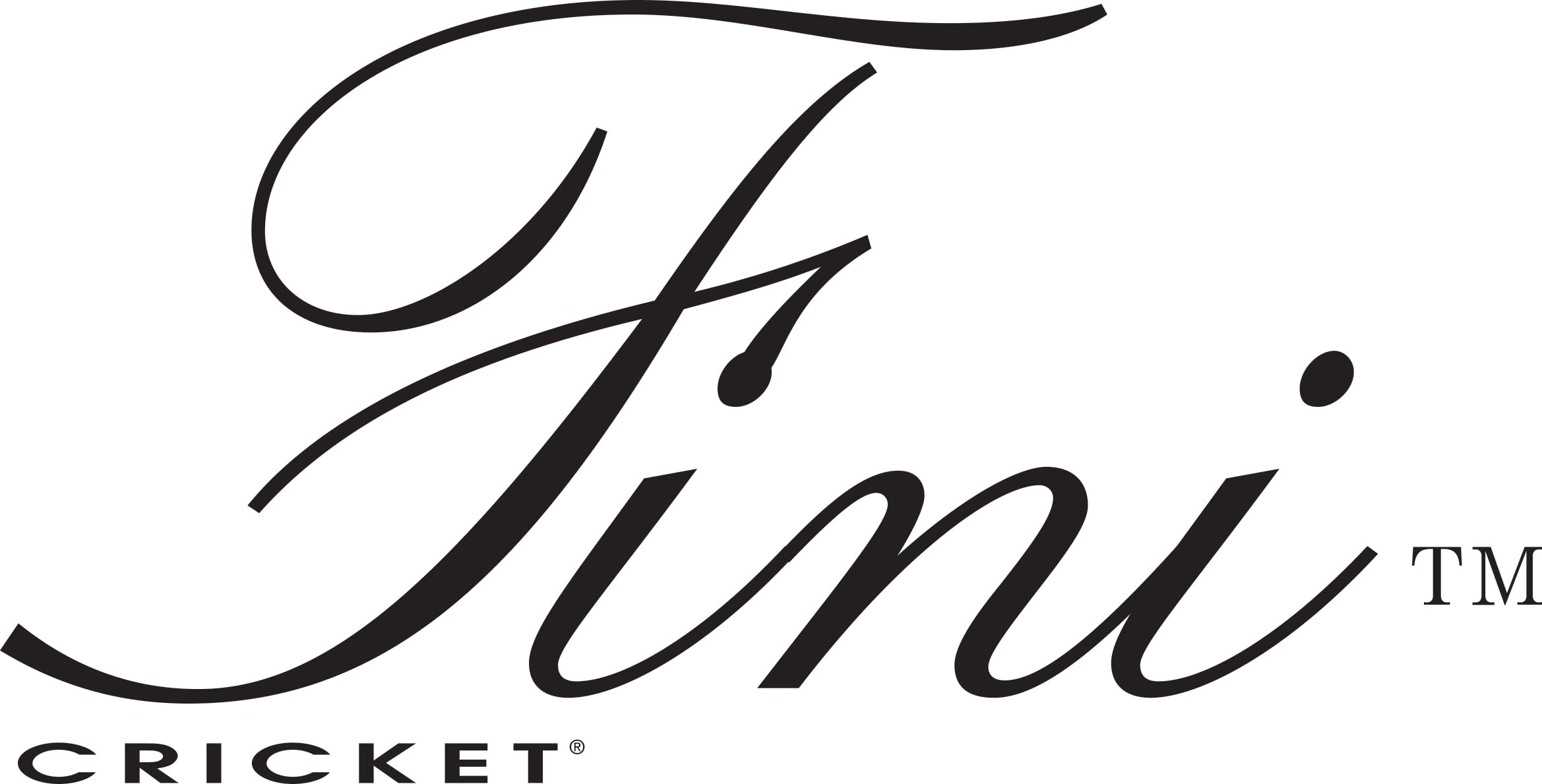 Cricket Small Fini Boar Salon Brush