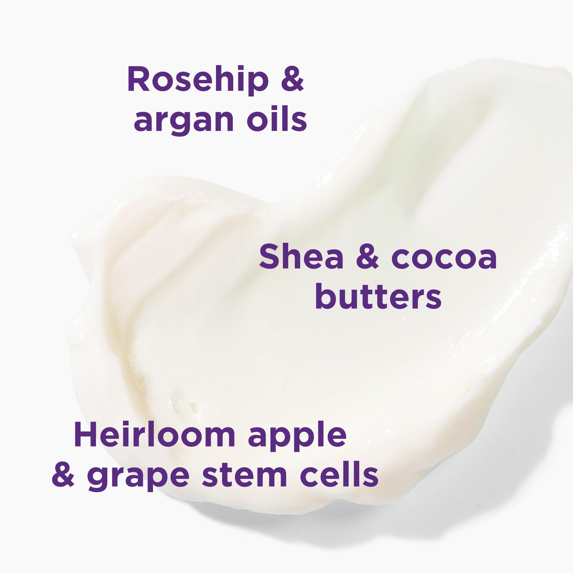 Andalou Naturals Lavender Thyme Refreshing Body Lotion, 8 Ounce