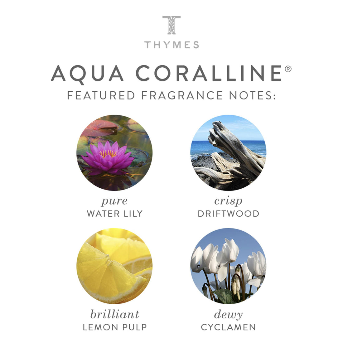 Thymes - Aqua Coralline Hand Lotion with Pump - With Moisturizing Shea Butter, Vitamin E, and Refreshing Beach Scent - 8.25 oz