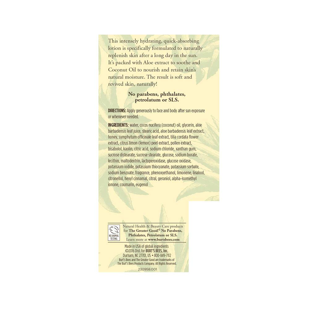 BURTS BEES Aloe After Sun Soother, 6 FZ