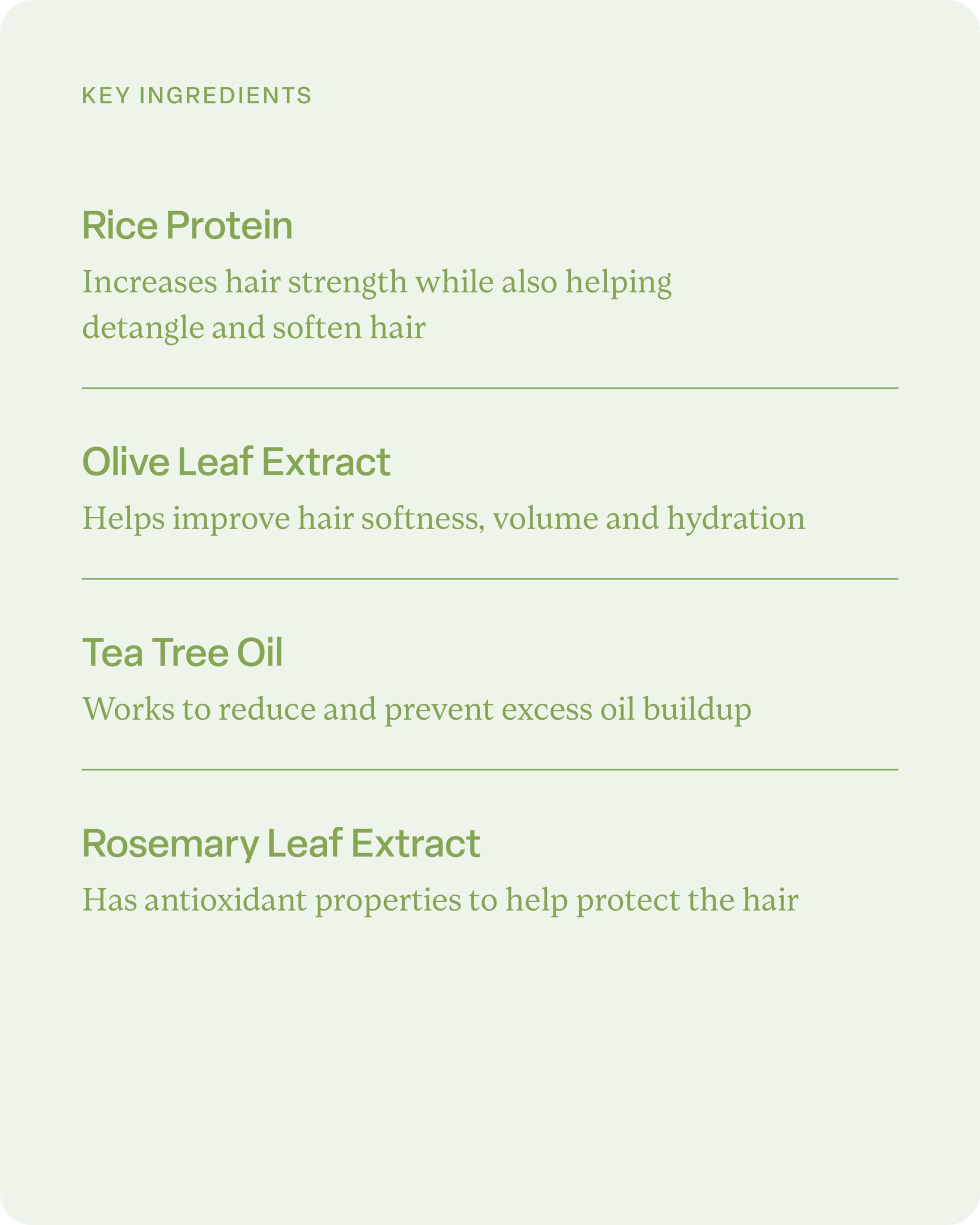 divi Volumizing Conditioner for Women and Men - Lightweight Volume Conditioner for Fine Hair - Designed to Strengthen and Protect the Hair from Damage, 12 Fl Oz.