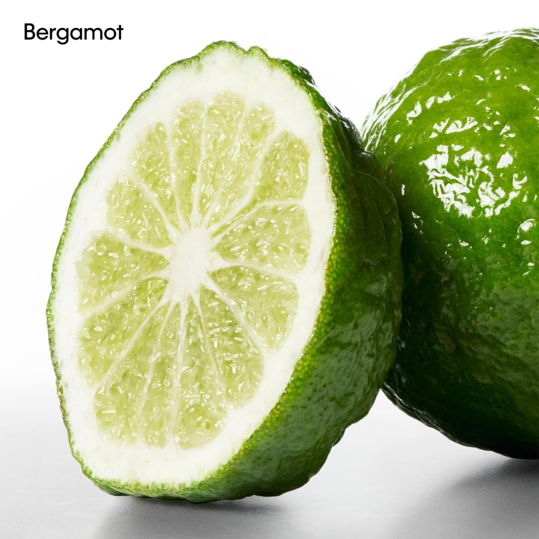 Calvin Klein CK One Unisex Deodorant – With Notes of Green Tea, Bergamot, Cardamom, Violet & Amber