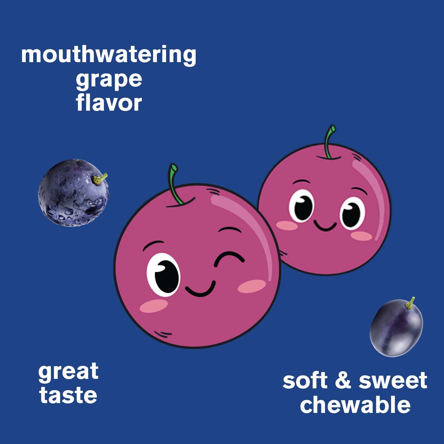 WellYeah Iron Gummies for Kids with Vitamin C - Anemia Support, Red Blood Cell Formation, Energy, and Immunity Support Gummy, Iron Supplements for Kids - GMO Free, Natural Grape Flavor - 60 Count