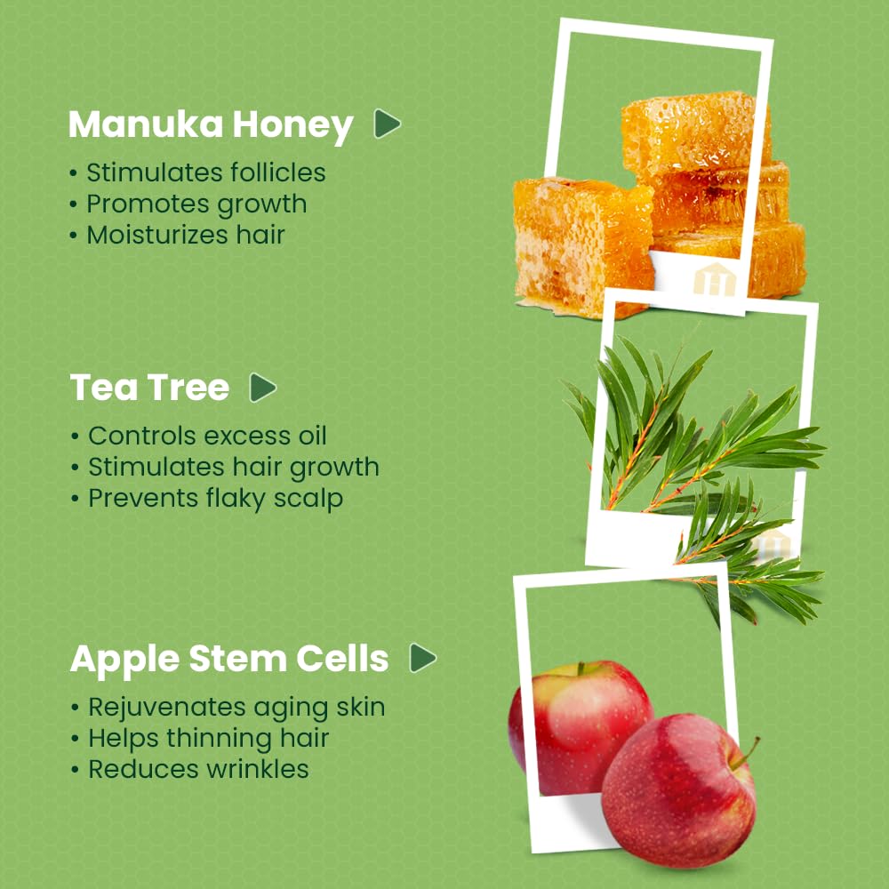 Organic Tea Tree & Mint Shampoo - Hydrating for Damaged, Itchy, Flaky Hair and Dandruff - Sulfate-Free