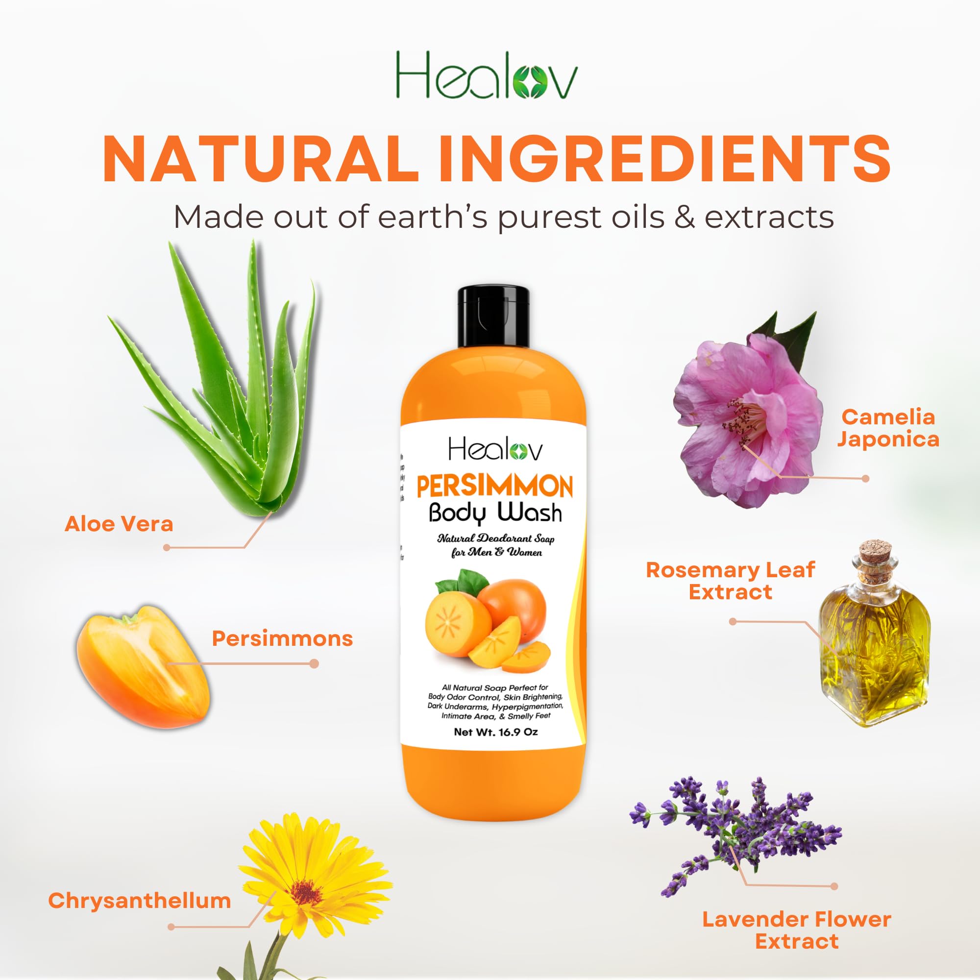 Healov Persimmon Body Wash for Body Odor Control – Purifying Deodorizing Soap for Eliminating Odor – Underarms, Intimate Inner Thigh, Bikini Area, Smelly Feet – Natural Deodorant Soap, Kids Safe