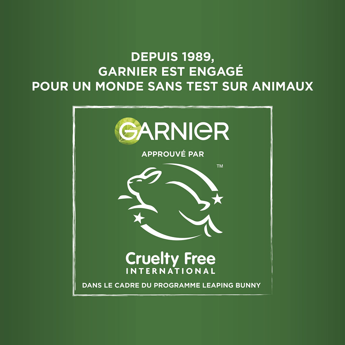 Garnier Fructis Hair Food Shampooing Hydratant à l'Aloe Vera 350 ml