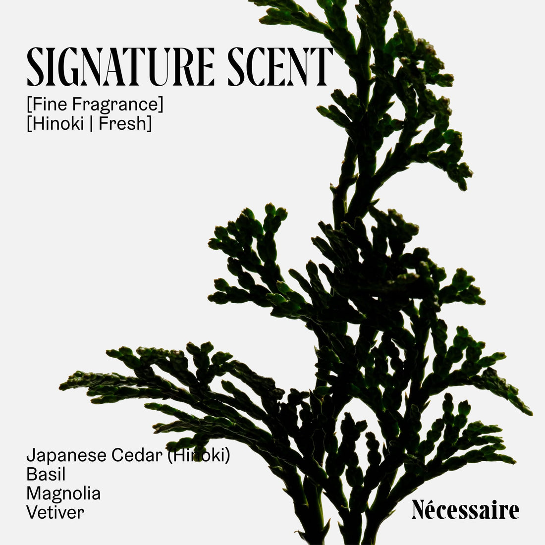 Nécessaire The Deodorant Hinoki | Natural Aluminum Free Deodorant For Women & Men. Extra Strength Treatment with Mandelic Acid. Free of Baking Soda, Ozokerite & Parabens (75 g/2.5 oz)