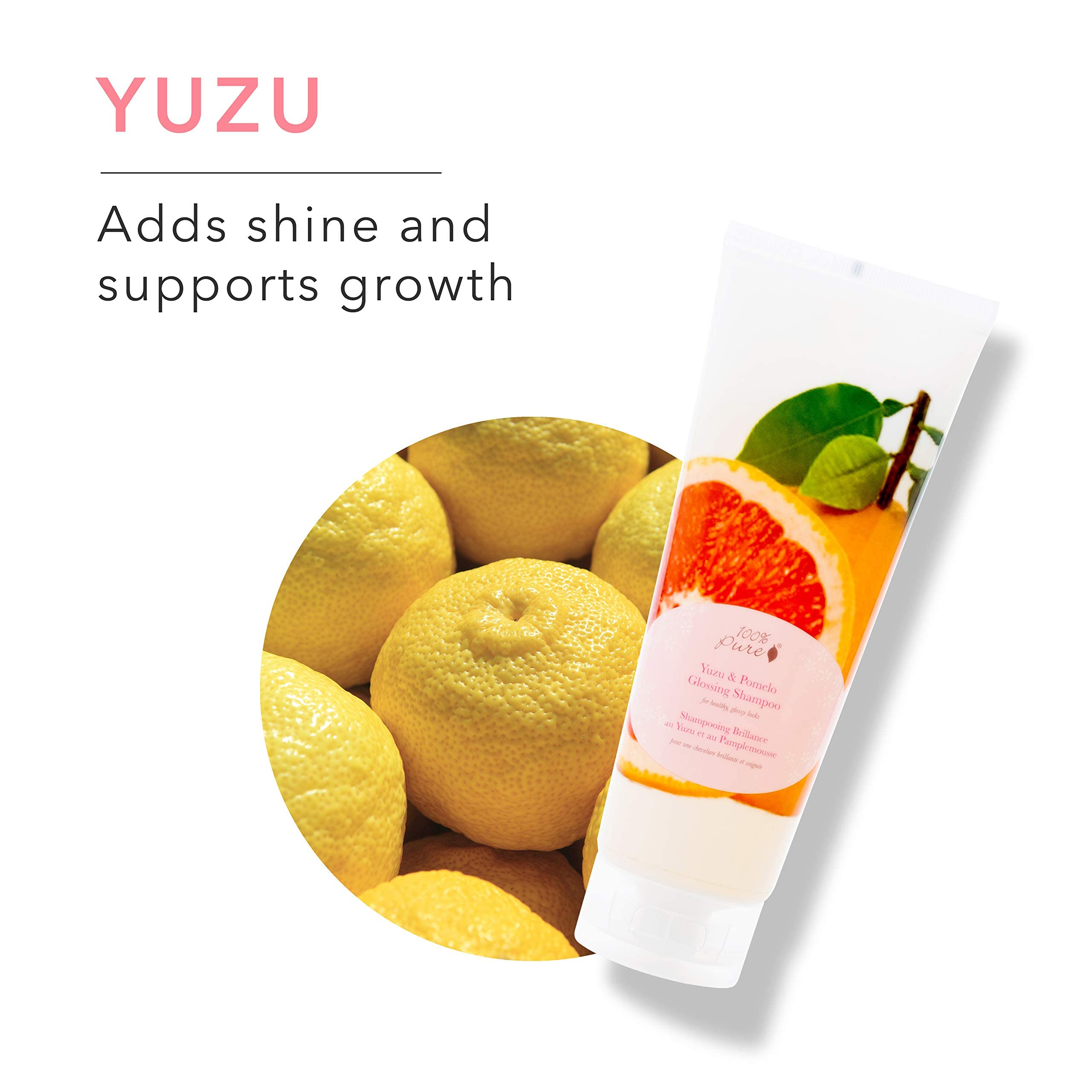 100% PURE Yuzu & Pomelo Glossing Conditioner & Hydrating Detox Helps Restore Vibrancy in Dry Dull Hair Revitalizing Shine & Body Healthy Growth for Women & Men, Vegan - 8 Fl Oz