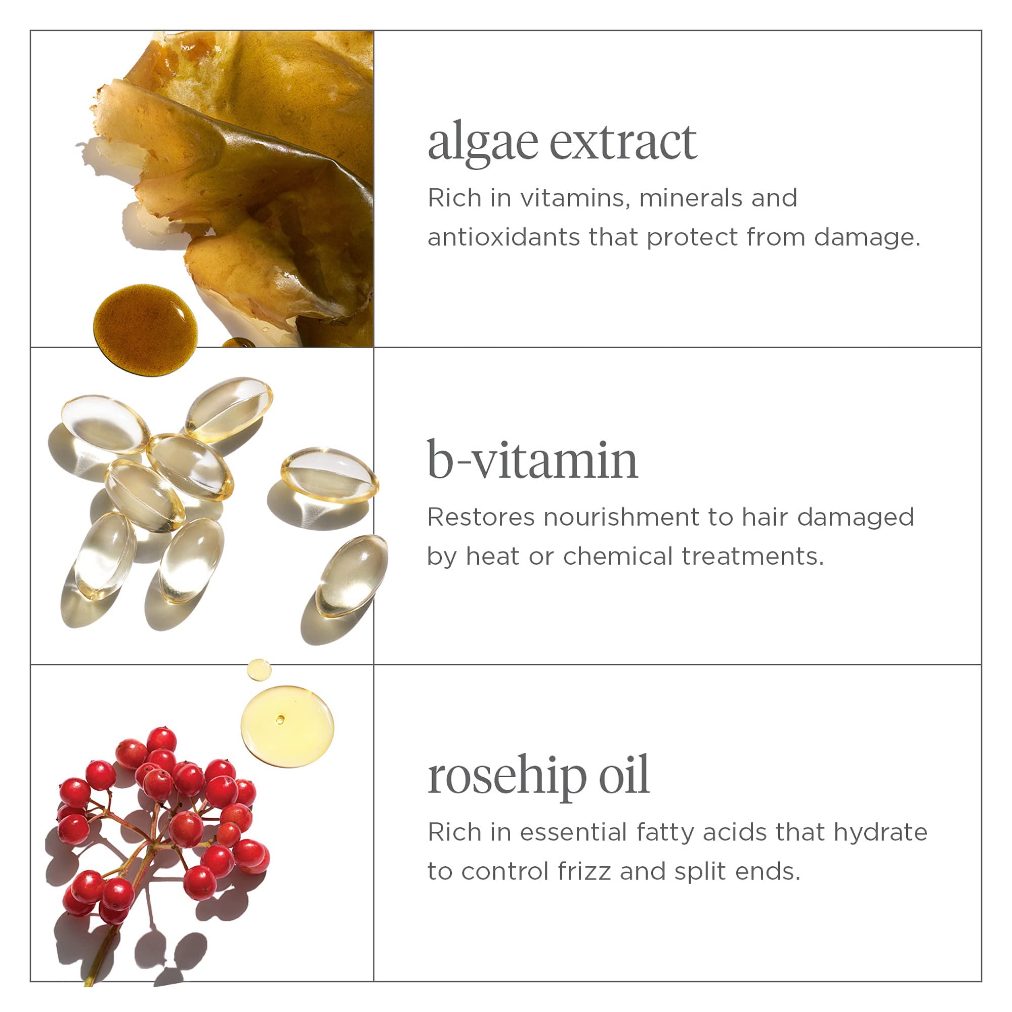 Briogeo Don't Despair, Repair! Super Moisture Shampoo, Dry Damaged Hair, Hair Shampoo with Argan Oil for Hair, Hair Moisturizer Hair Treatment, Protein Shampoo, Vegan, Cruelty-Free, 16 fl oz