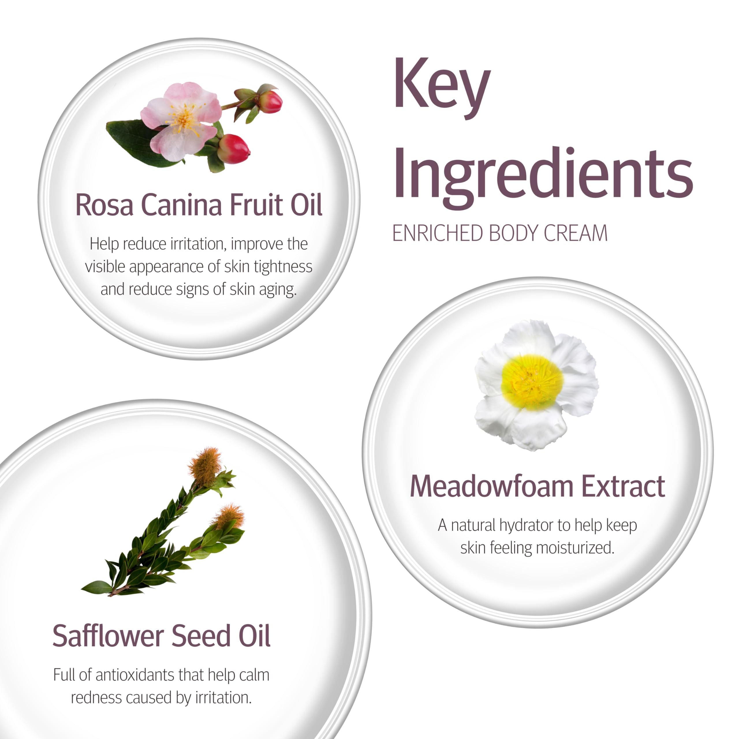 Epionce Enriched Body Cream 230g/8oz