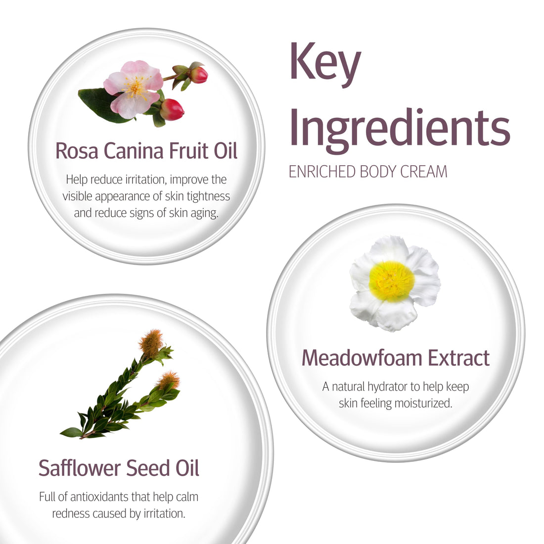 Epionce Enriched Body Cream 230g/8oz