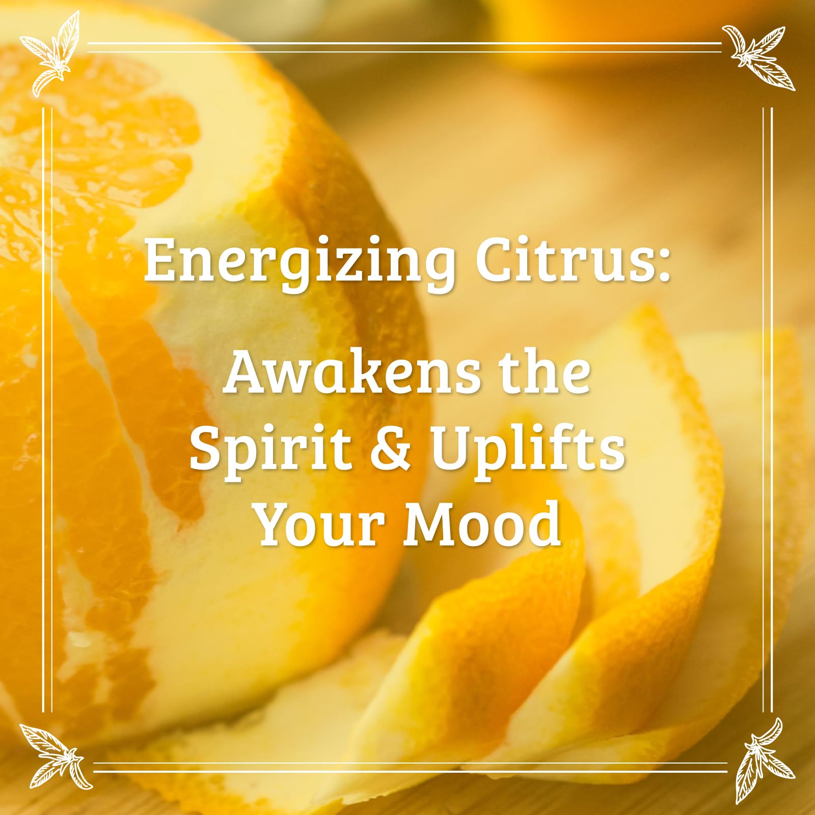 Pharmacopia Citrus Conditioner - Natural Scalp Moisturizer, Vegan & Cruelty-Free Hair Care with Shea Butter, Aloe Vera, Jojoba Oil, and Olive Leaf Extract for Dry Hair Treatment and Detangling, 16 oz