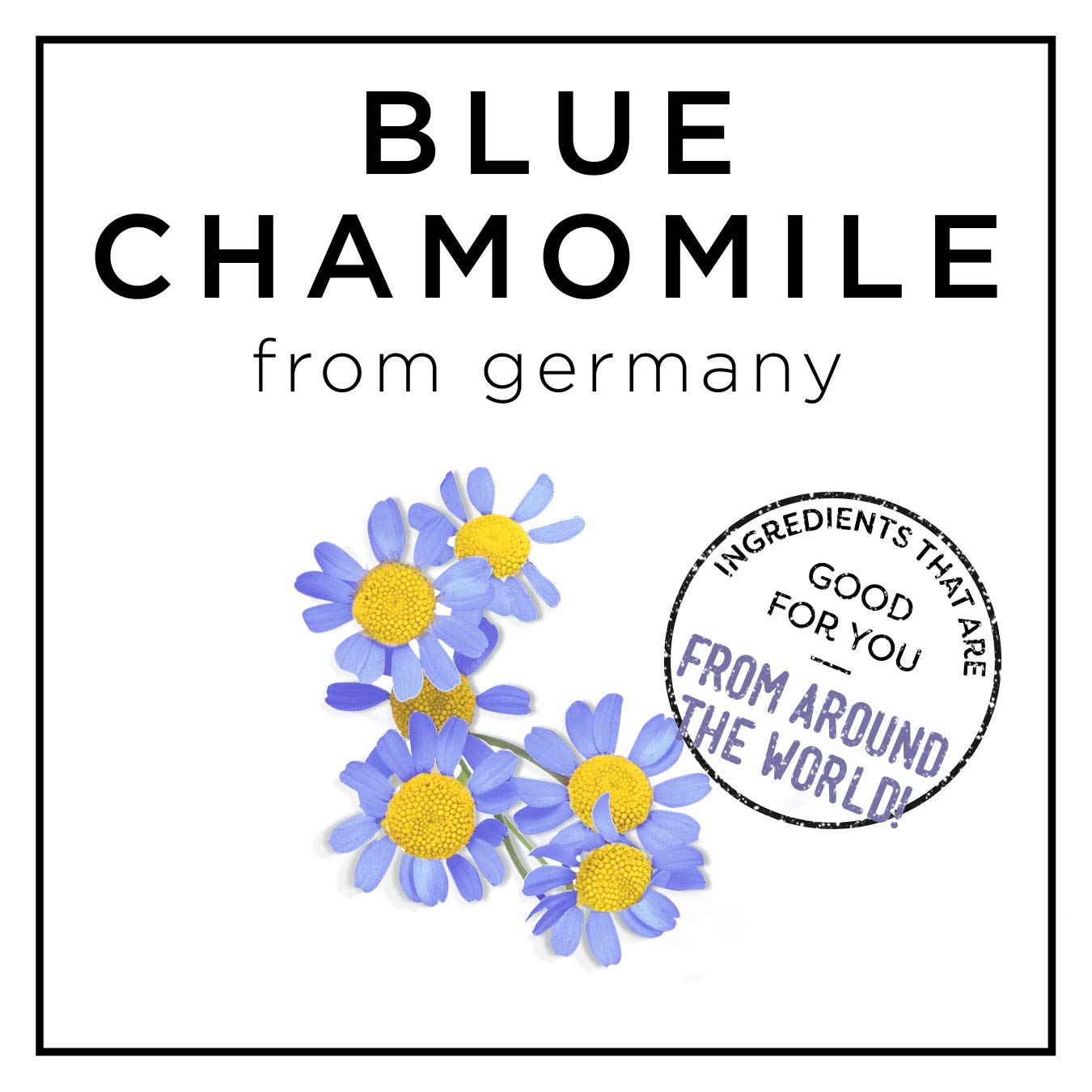 Hask Blue Chamomile and Argan Oil Blonde Care Conditioner, 12 Ounce