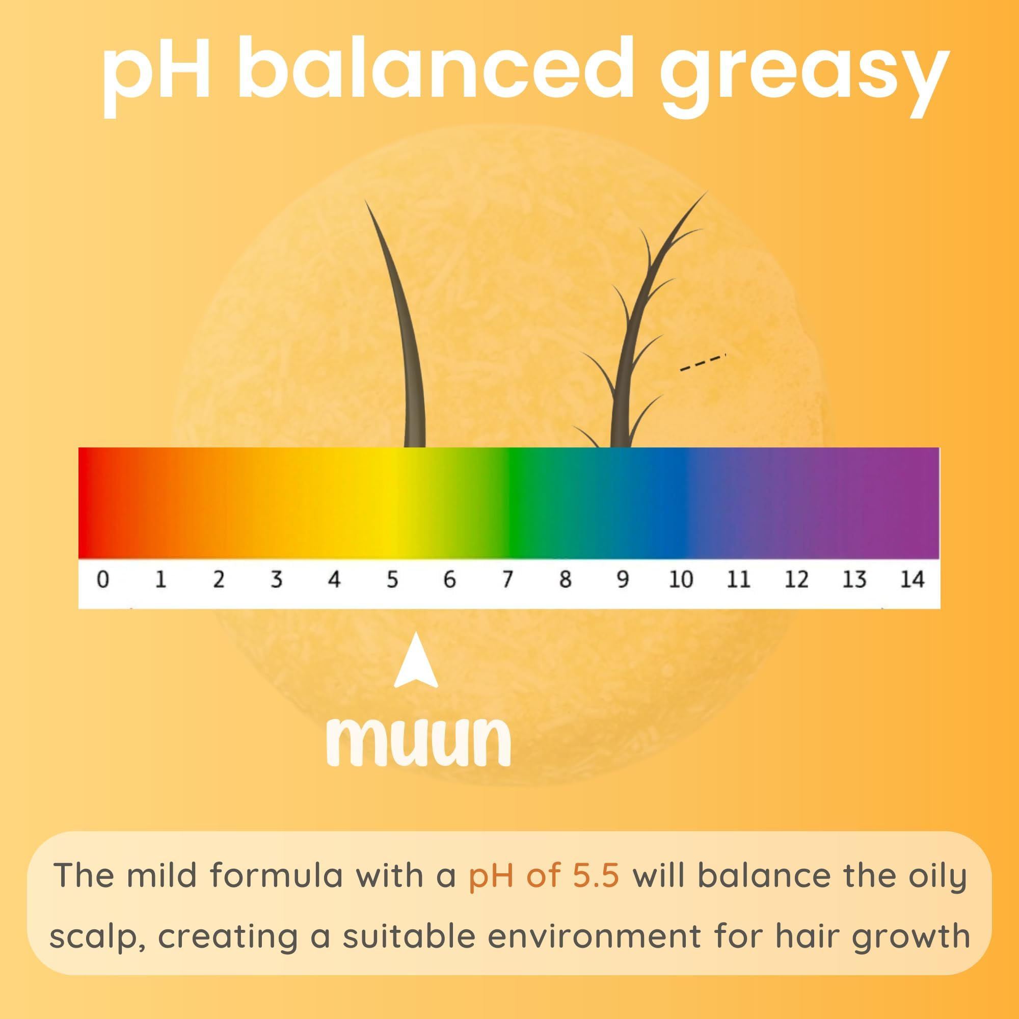 Muun Ginger Shampoo and Conditioner Bar Pack 3 - Hair Growth & Regrowth, Anti Hair Loss, Strengthen & Volumize, pH Balanced - Sulfate & Silicone Free For All Hair Type - Solid Soap for Travel