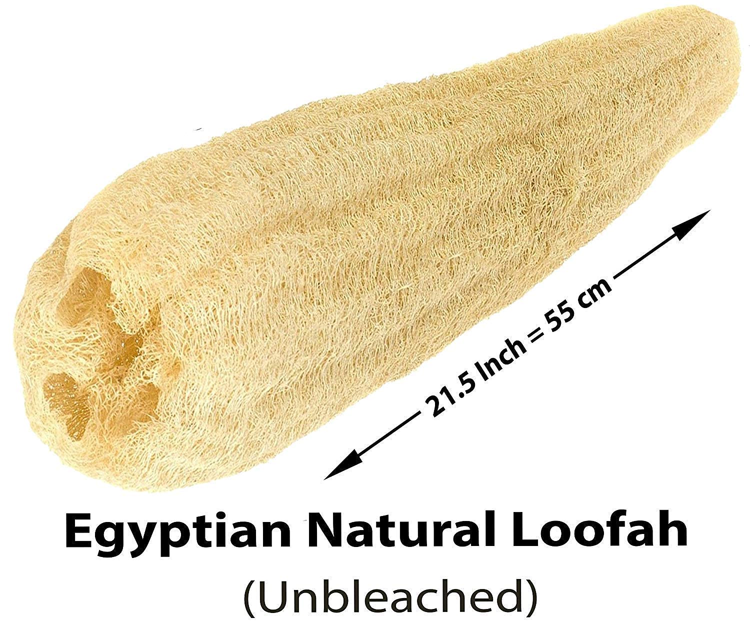 1 Pcs Egyptian 21.5 Loofah Luffa Loffa Lofa Loofa Scrubber Sponge 100% Natural Organic SPA Beauty Bath Body Luxurious Premium Quality for Skin exfoliating