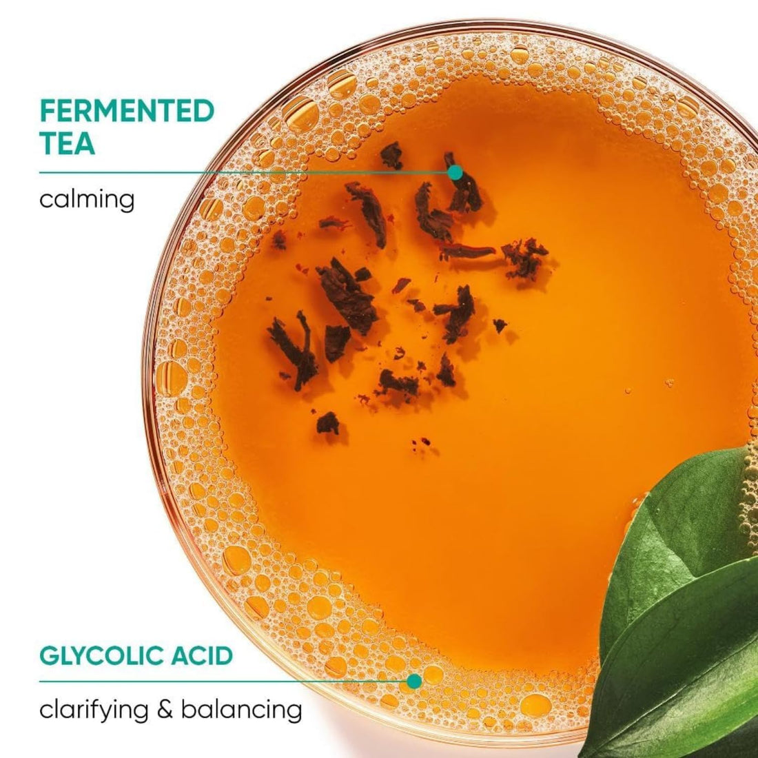 Biolage Scalp Sync Universal Conditioner - Hydrating for All Scalp Types, Lightweight Conditioning, With Fermented Tea Blend & Glycolic Acid, Vegan & Paraben-Free, 33.8 Fl Oz, Packaging May Vary