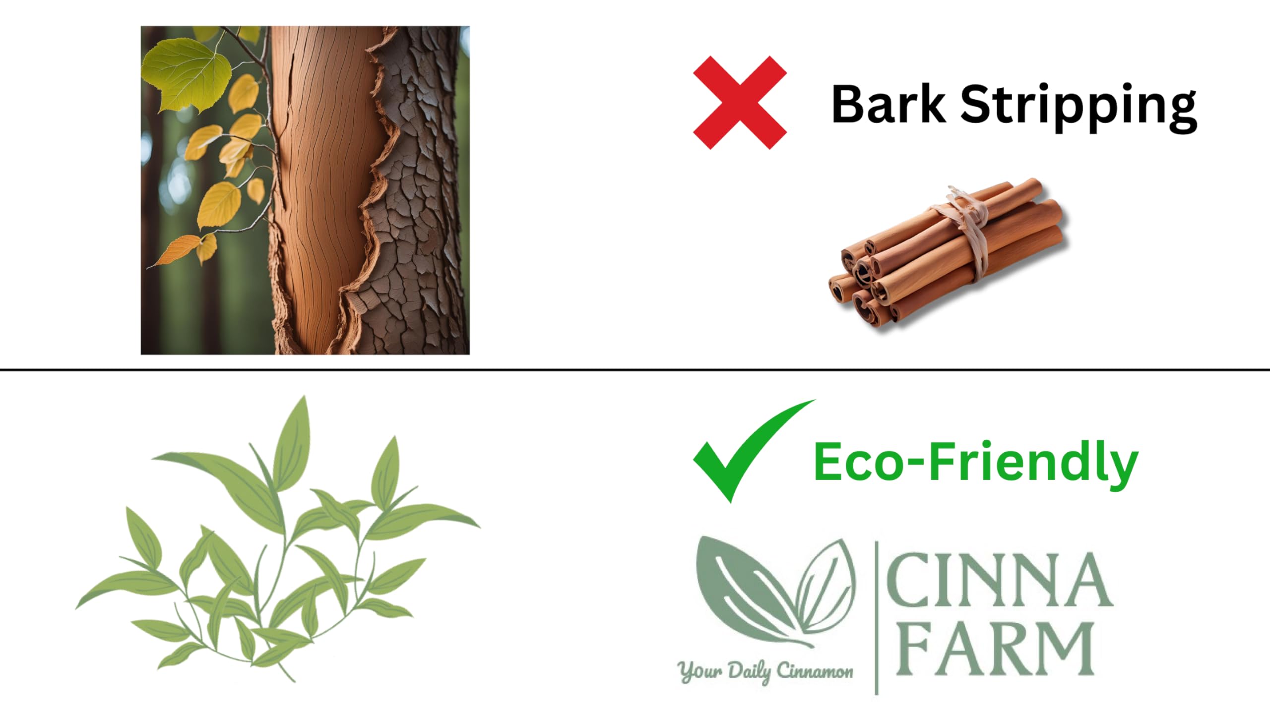 CinnaFarm Shampoo, from Cinnamon leaves extraction, Hydrating and soothing, no artificial fragrance, fulfates and silicones free, natural ingredients, color safe