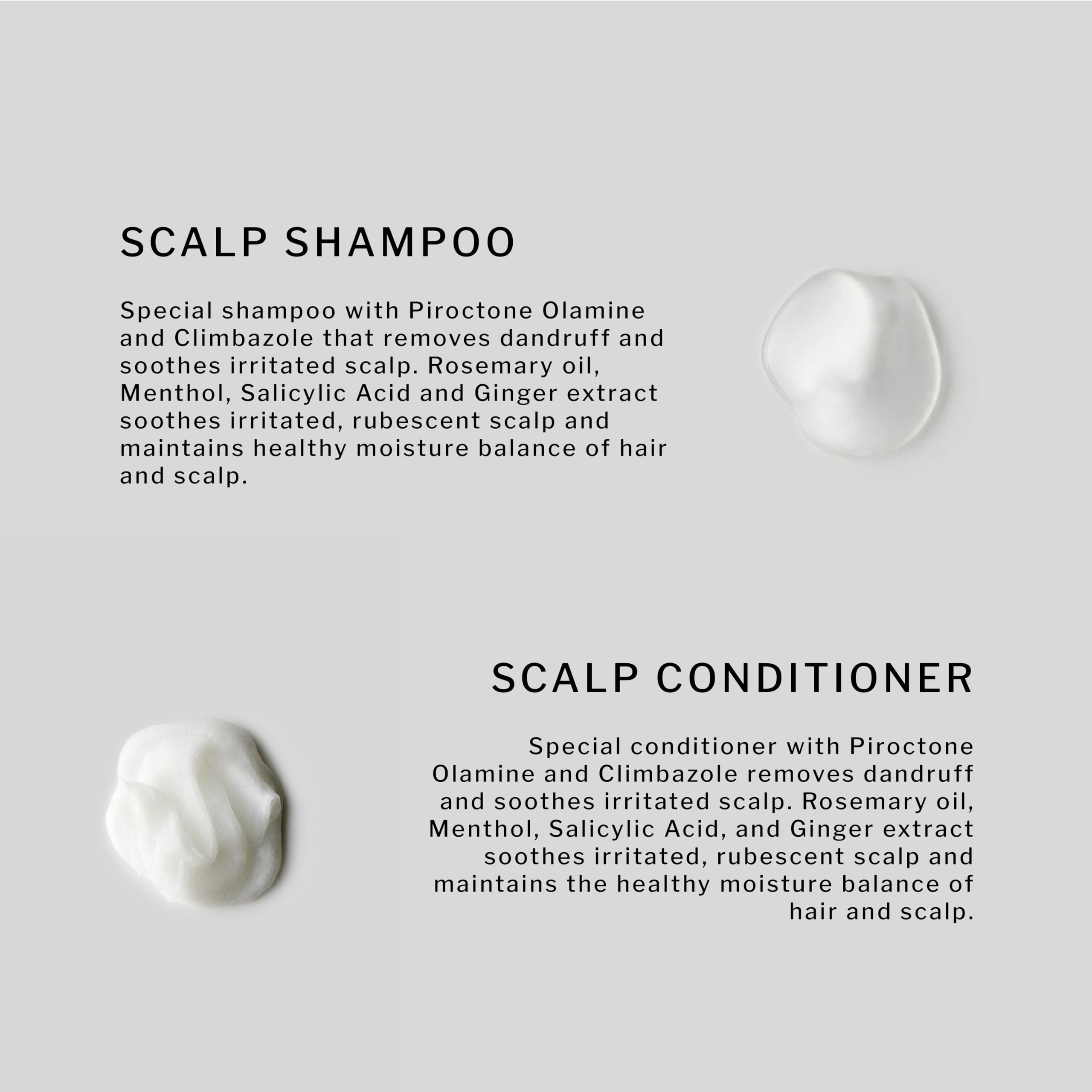 SACHAJUAN Scalp Shampoo and Conditioner Set | Itch Relief and Calming | Anti-Dandruff | 8.45oz (Pack of 2)