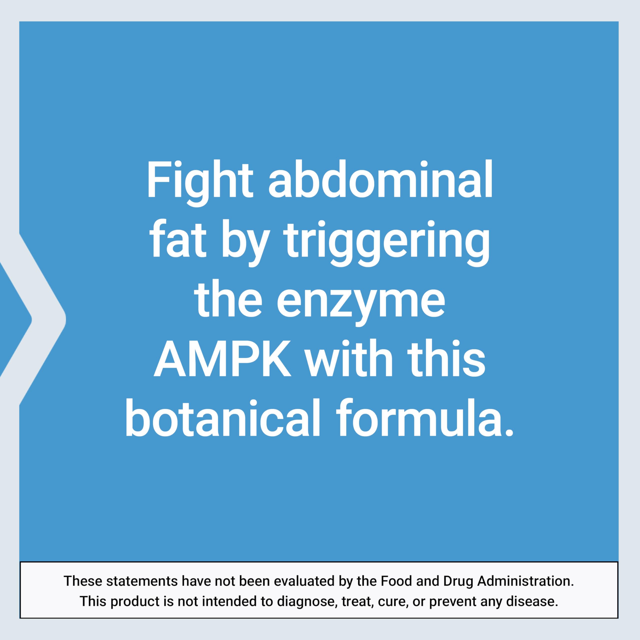 Life Extension AMPK Metabolic Activator, hesperidin, G. pentaphyllum, fight unwanted belly fat & revitalize cellular metabolism, gluten-free, non-GMO, 30 Vegetarian Tablets