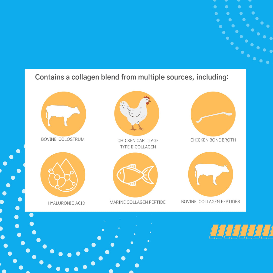 Consult Health Colla Holla- Multi-Sourced Collagen Verisol Protein Powder with Colostrum for Skin Elasticity, Wrinkle Reduction, Healthy Hair & Joint Support. 8.36 oz