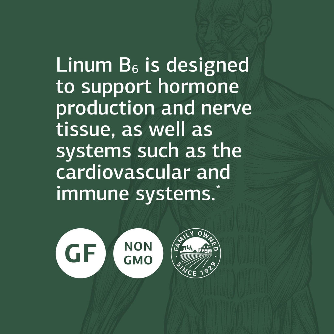 Standard Process Inc. Linum B6 - Whole Food Hormone Support, Brain Health and Brain Support, Heart Health and Healthy Skin with Alpha-linoleic Acid, Flaxseed Oil, and Vitamin B6-120 Softgels