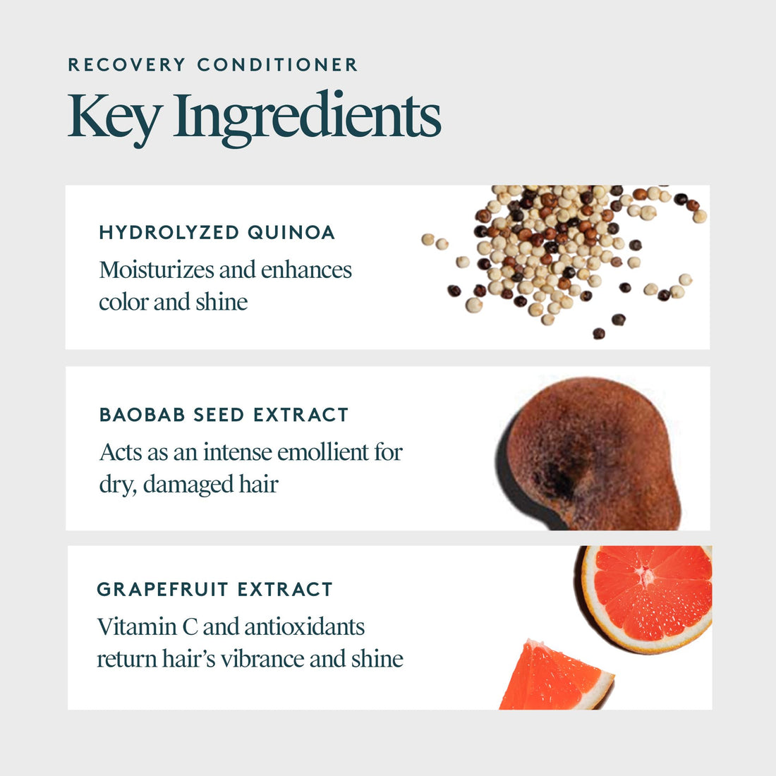 VIRTUE Recovery Conditioner 6.7 FL OZ | Alpha Keratin Hydrates, Softens, Renews Hair | Sulfate Free, Paraben Free, Color Safe