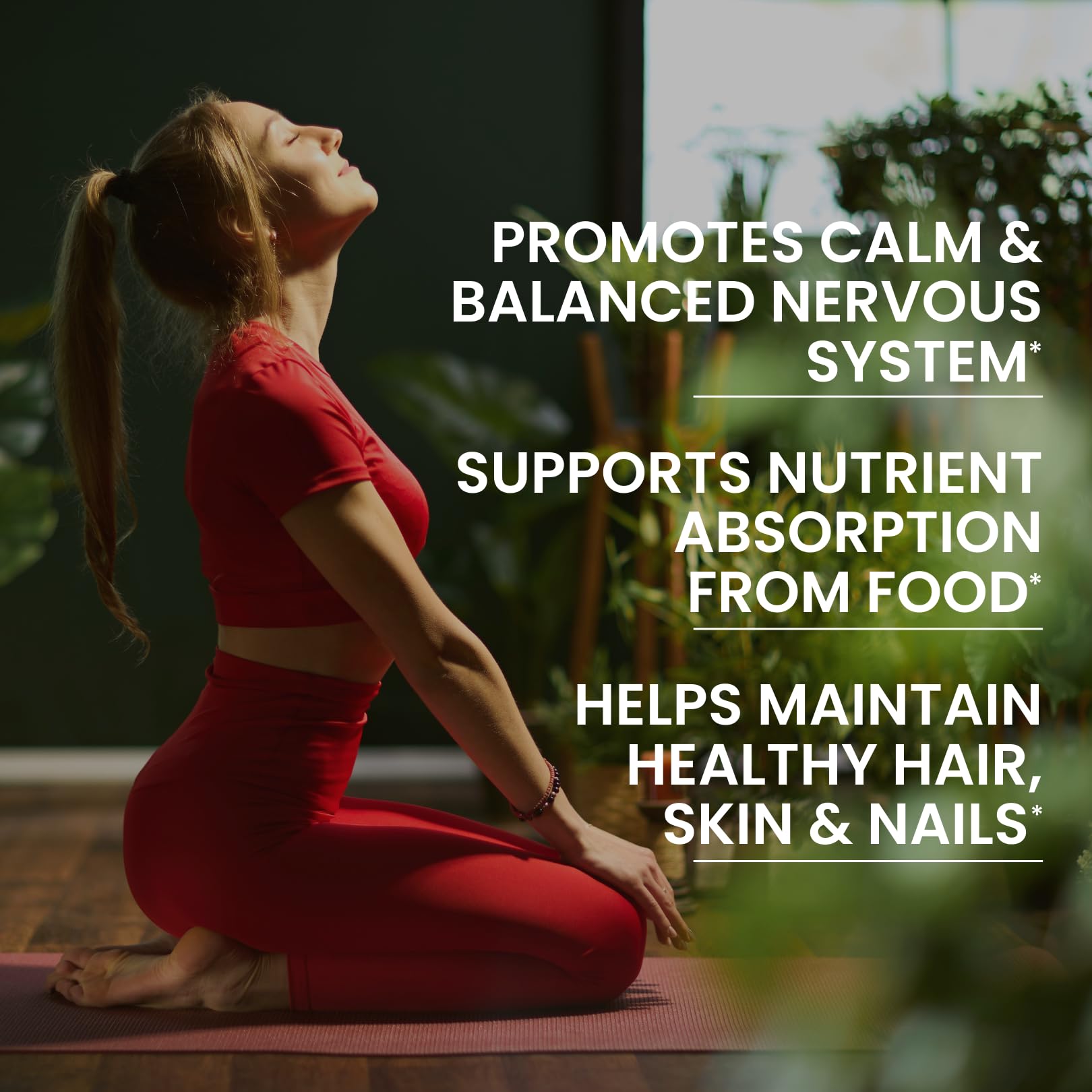 SIGNIFY NATURE VitaBComplex with Vitamin C and E, B Complex Vitamins for Women & Men, BComplex Supplements, VIT B1, B2, B3, B5, B6, B8, B9, B12, Super B Softgels - 60 CT