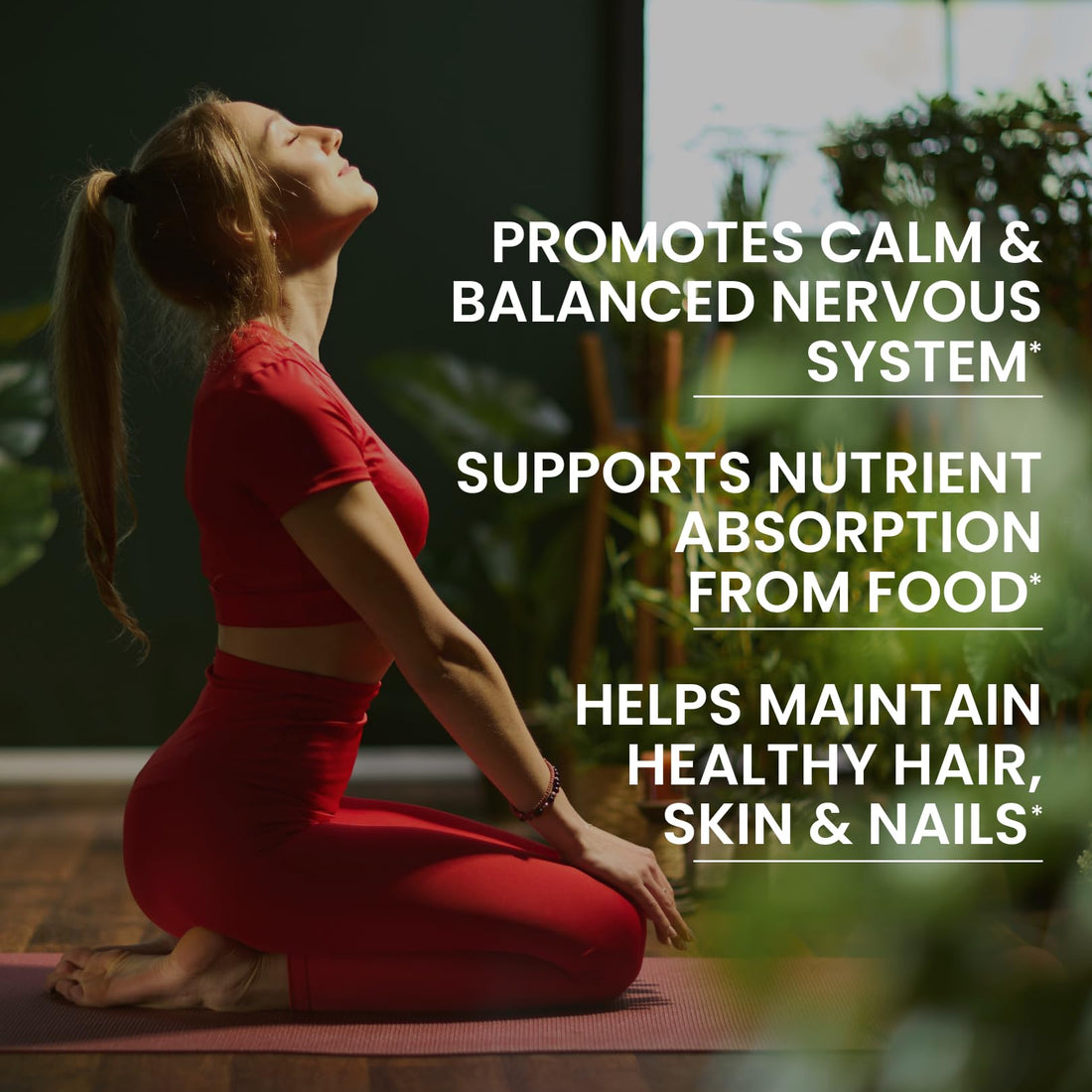 SIGNIFY NATURE VitaBComplex with Vitamin C and E, B Complex Vitamins for Women & Men, BComplex Supplements, VIT B1, B2, B3, B5, B6, B8, B9, B12, Super B Softgels - 60 CT