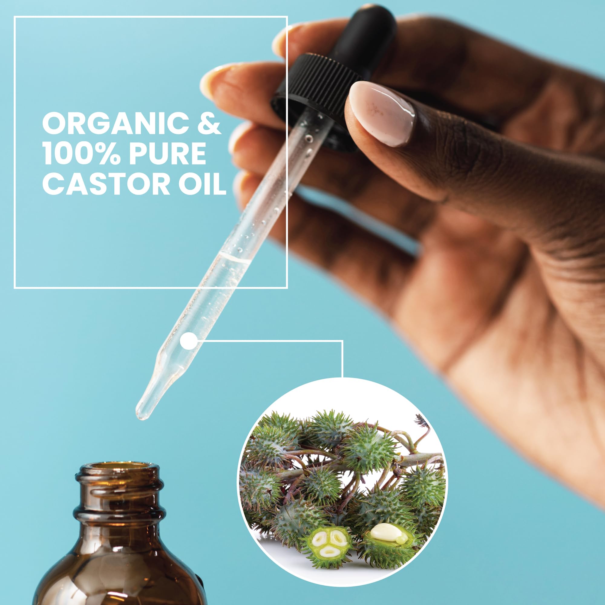 Eva Naturals Organic Castor Oil (2oz) - Promotes Hair, Eyebrow and Lash Growth - Diminishes Wrinkles and Signs of Aging - Hydrates and Nourishes Skin - 100% Pure and USP Grade - Premium Quality