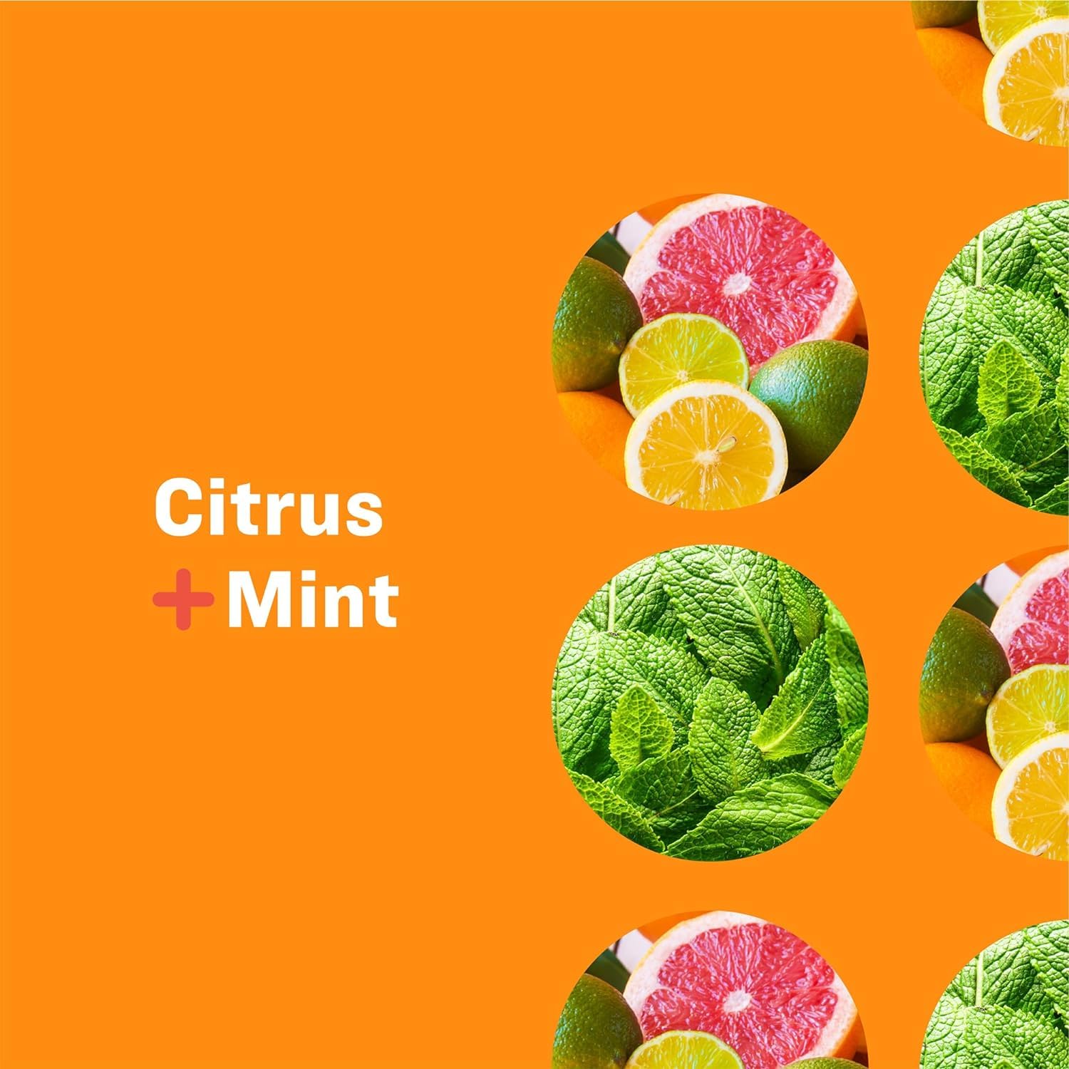 Everyone 3-in-1 Soap, Citrus plus Mint, 32 Ounce