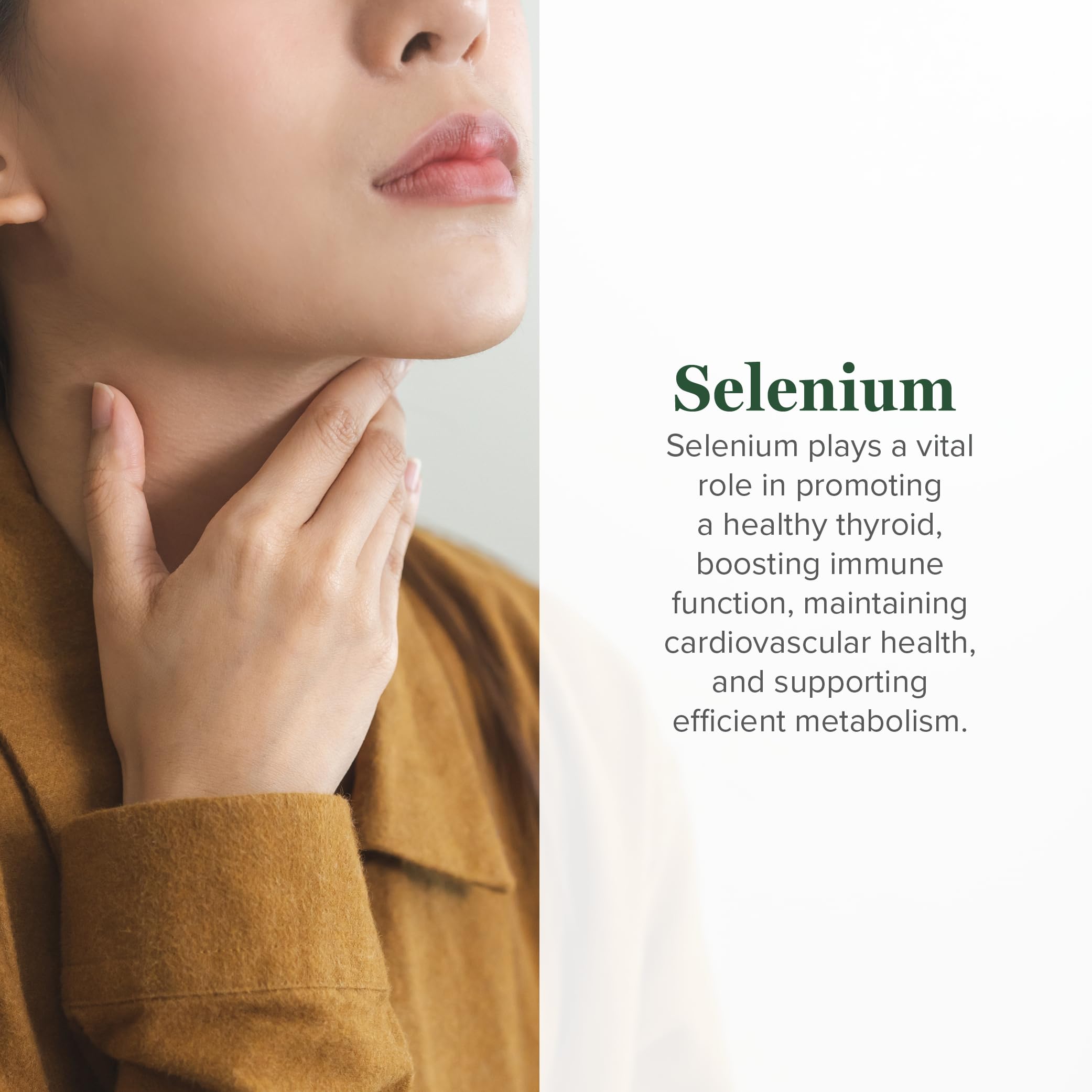 Global Healing Center - Selenium 200mcg, Selenium Supplement Drops with Organic Ingredients, Antioxidants for Thyroid and Immune Support, Non-GMO & Gluten-Free, for Men & Women - 2 Fl Oz