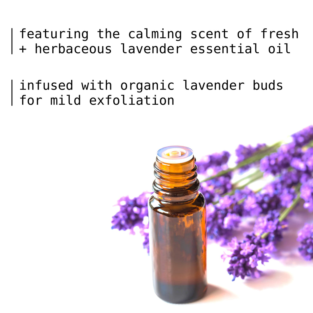 Natural Organic Soap Bar with Lavender and Shea for Face and Body, Coconut Oil and Shea Butter, Moisturizing Bar Soap, Essential Oils, Bar Soap for Women and Men, 4oz, 1 Lavender Soap Bar