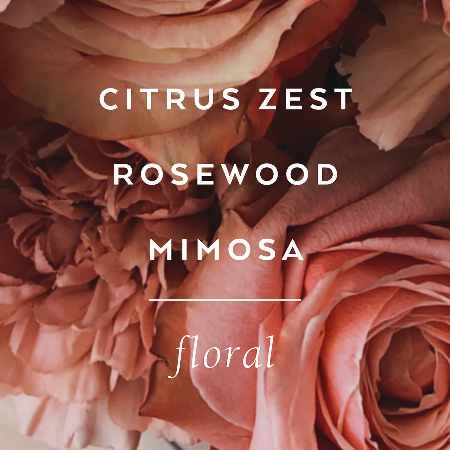 Margot Elena Tokyo Milk's Gin and Rosewater Eau De Parfum for Woman, 1 Fluid Ounce