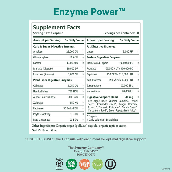 PURE SYNERGY Enzyme Power | Digestive Enzyme Supplement | Digestive Health Enzymes with Nattokinase, Bromelain, and Serrapeptase | for Digestive and Gut Health (90 Capsules)