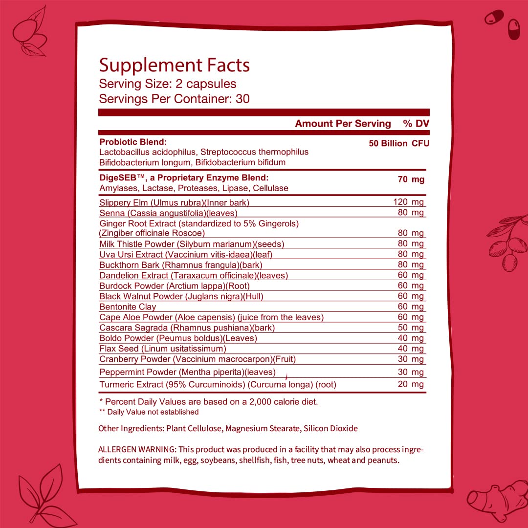 GOBIOTIX Probiotic Supplement with Digestive Enzymes - Detox and Digestive Health - Milk Thistle, Turmeric, and Dandelion Root for Gut Health - 50 Billion CFU - 60 Capsules