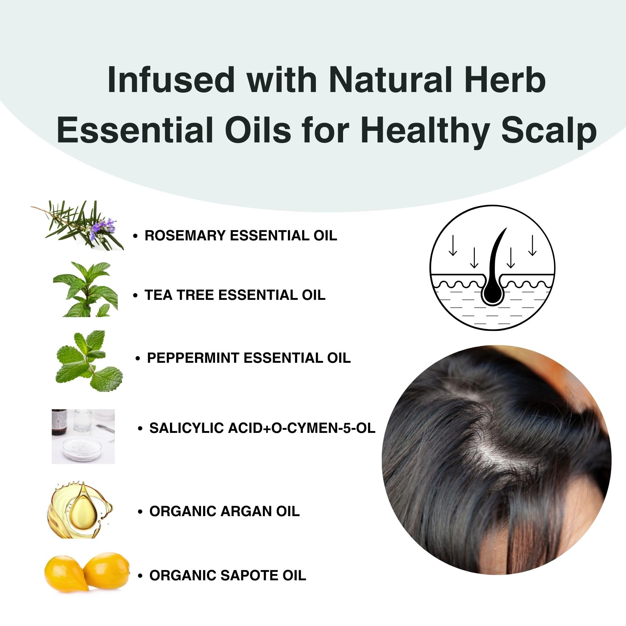 Moist Diane Anti-Dandruff Shampoo and Conditioner Set for Dry Hair& Itchy Scalp Women & Men, Keratin Shampoo by Protein & Argan Oil from Japan, Silicone& Sulfate Free, EXTRA FRESH& HYDRATE, 30.4 Fl Oz