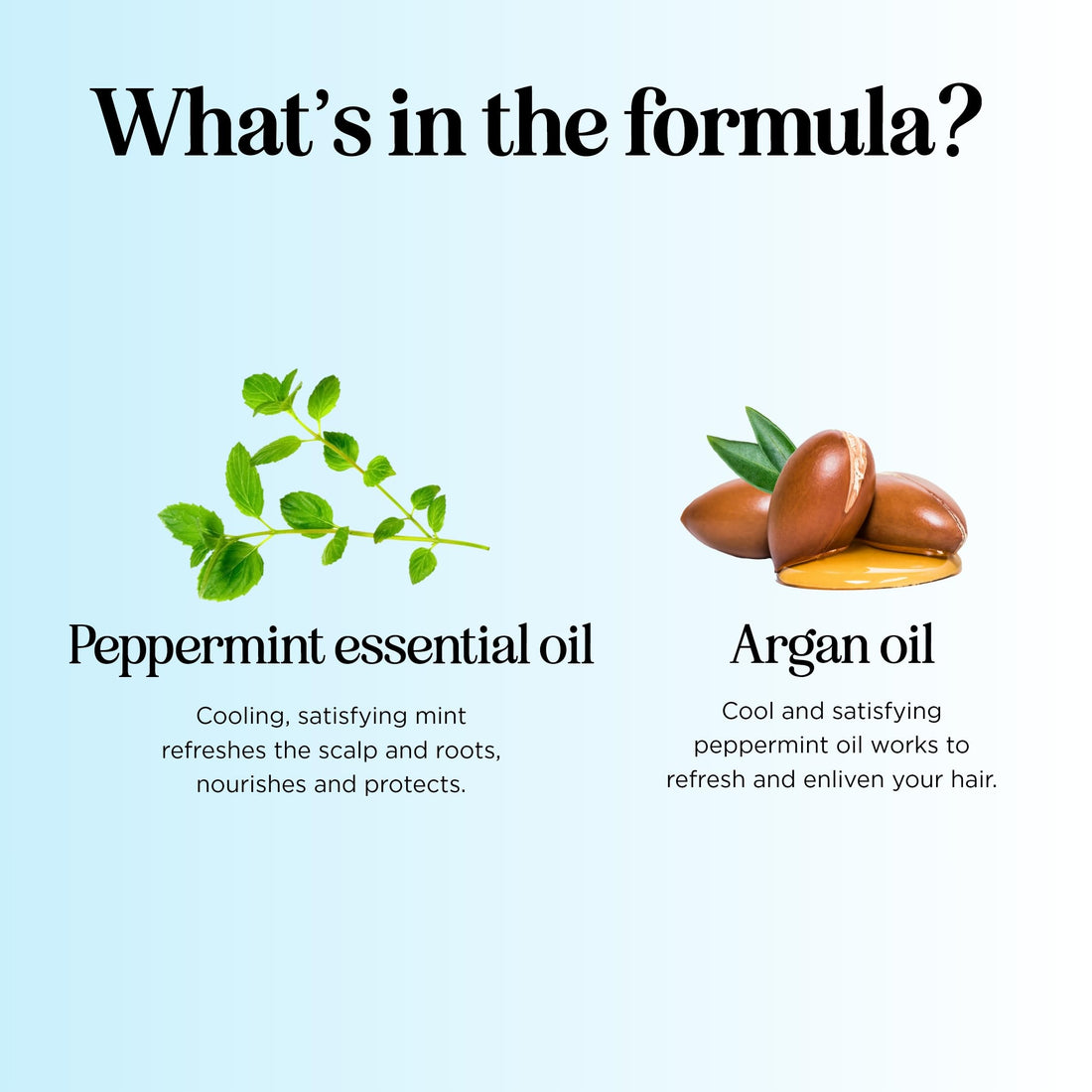 Shampoo and Conditioner Set  Winter Blend Shampoo + Natural Conditioner Set with 5 Mint Varieties  Gentle Ingredients for Women & Men - Safe for Colored Treated Hair  USA Made By Maple Holistics