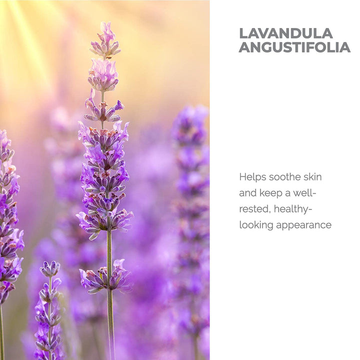 Alteya Organics Lavender Water USDA Certified Organic Facial Toner, 4 Fl Oz/120mL Pure Bulgarian Lavandula Angustifolia Flower Water, Award-Winning Moisturizer Amber Glass Spray Bottle