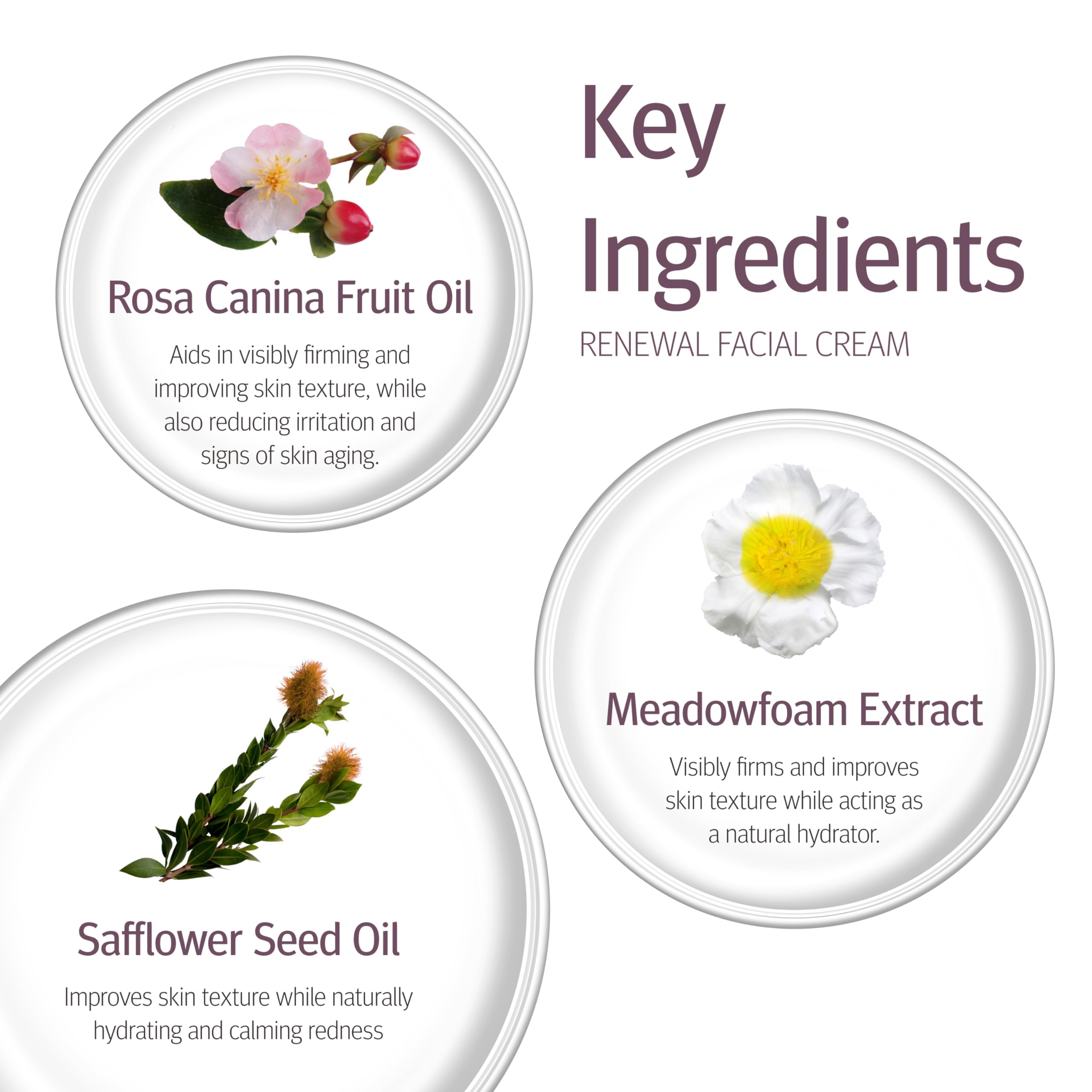 Epionce Renewal Facial Cream, 1.7 Fluid Ounce