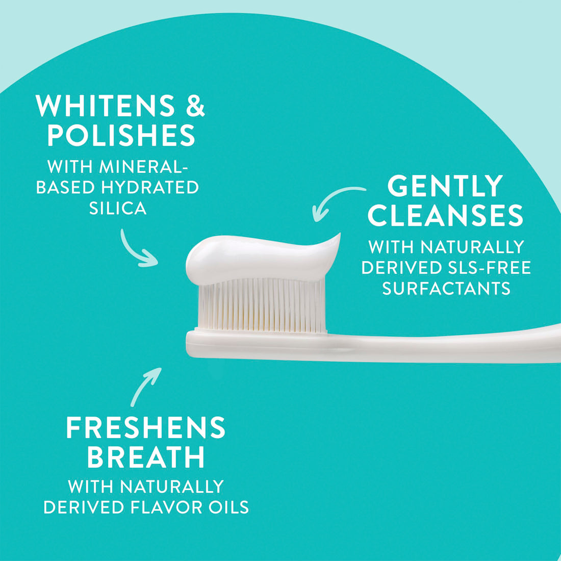 Native Whitening Wild Mint & Peppermint Oil Fluoride Free Toothpaste, 4.1 oz Pack of 3