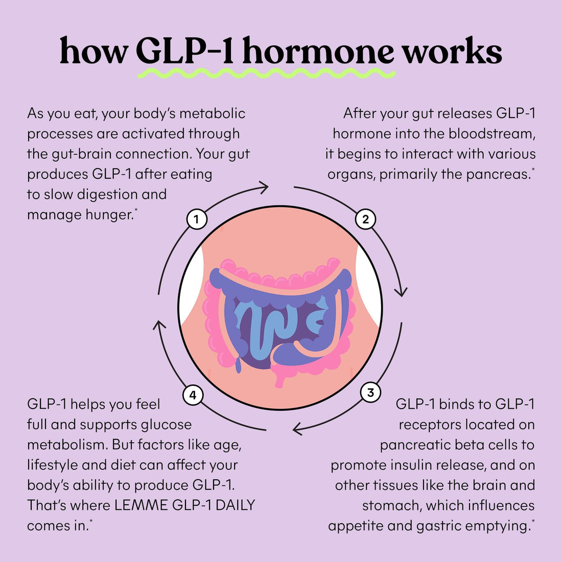 Lemme GLP-1 Daily, Reduce Hunger & Cravings, Boost GLP-1 Production, Support Fat Loss and Weight Management with Clinically Studied Ingredients, 1 Month Supply (60 Capsules)