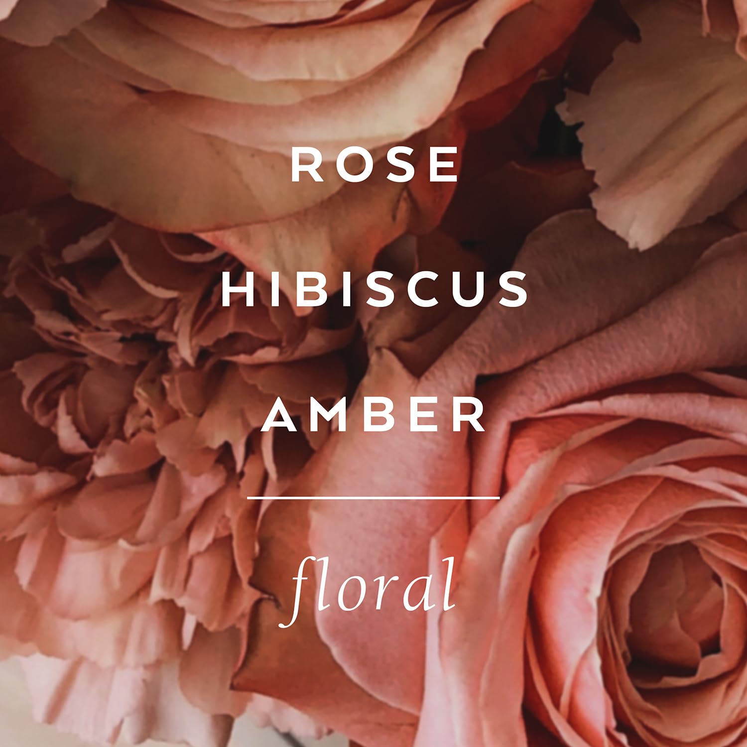 Lollia Always In Rose Dry Body Oil