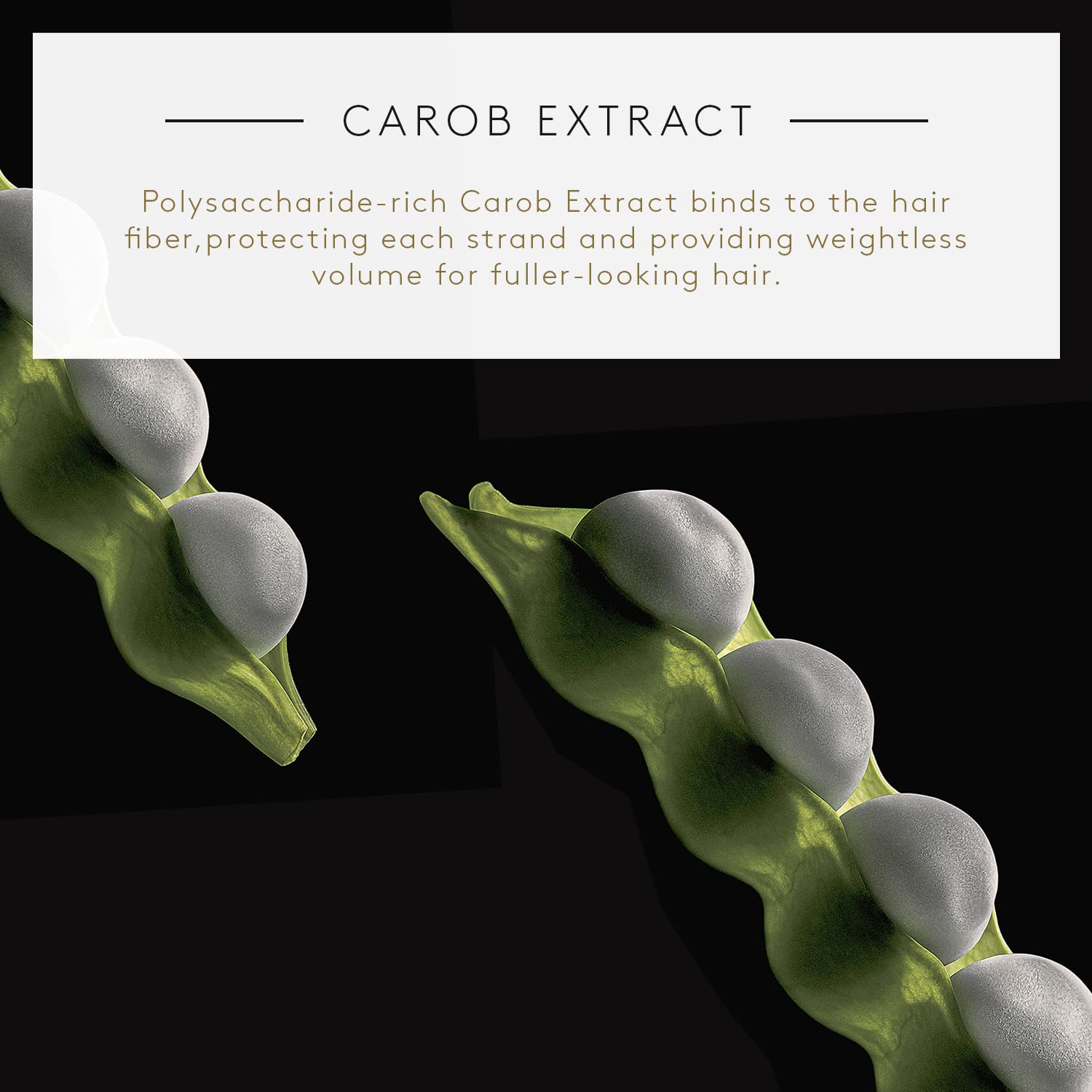 Rene Furterer Volumea Volumizing Conditioner 5.07 oz