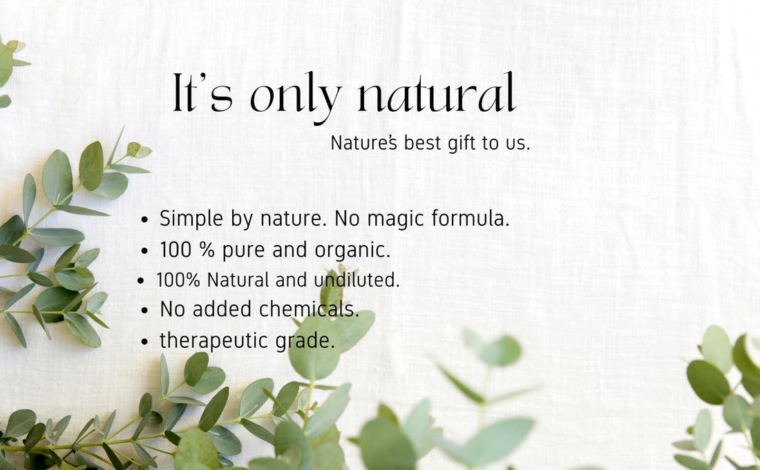 Oasis Blossom Eucalyptus Oil for Face, Skin and Hair |100% Pure, Organic Oil | Therapeutic Grade | Hydrating, Moisturizing, Nourishing, Anti-Aging | 2 FL Oz.